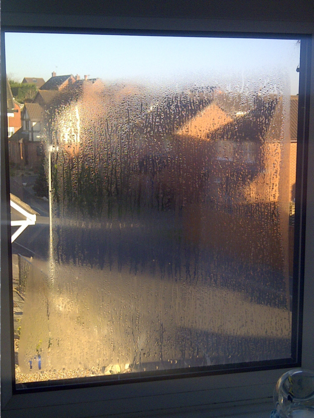 Misted Glass Unit in Canford Heath
